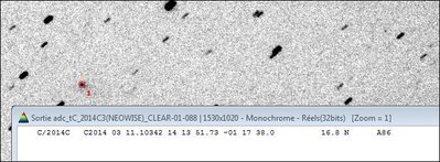 Cometes_4.JPG