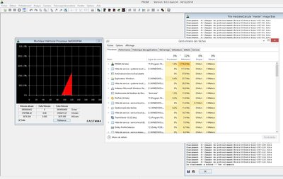 Le gestionnaire de tâches de Windows indique que PRISM a utilisé 3716Mo. La copie d’écran jointe montre le résultat de la fonction « Surveillance de l’allocation mémoire »